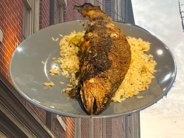 Fish